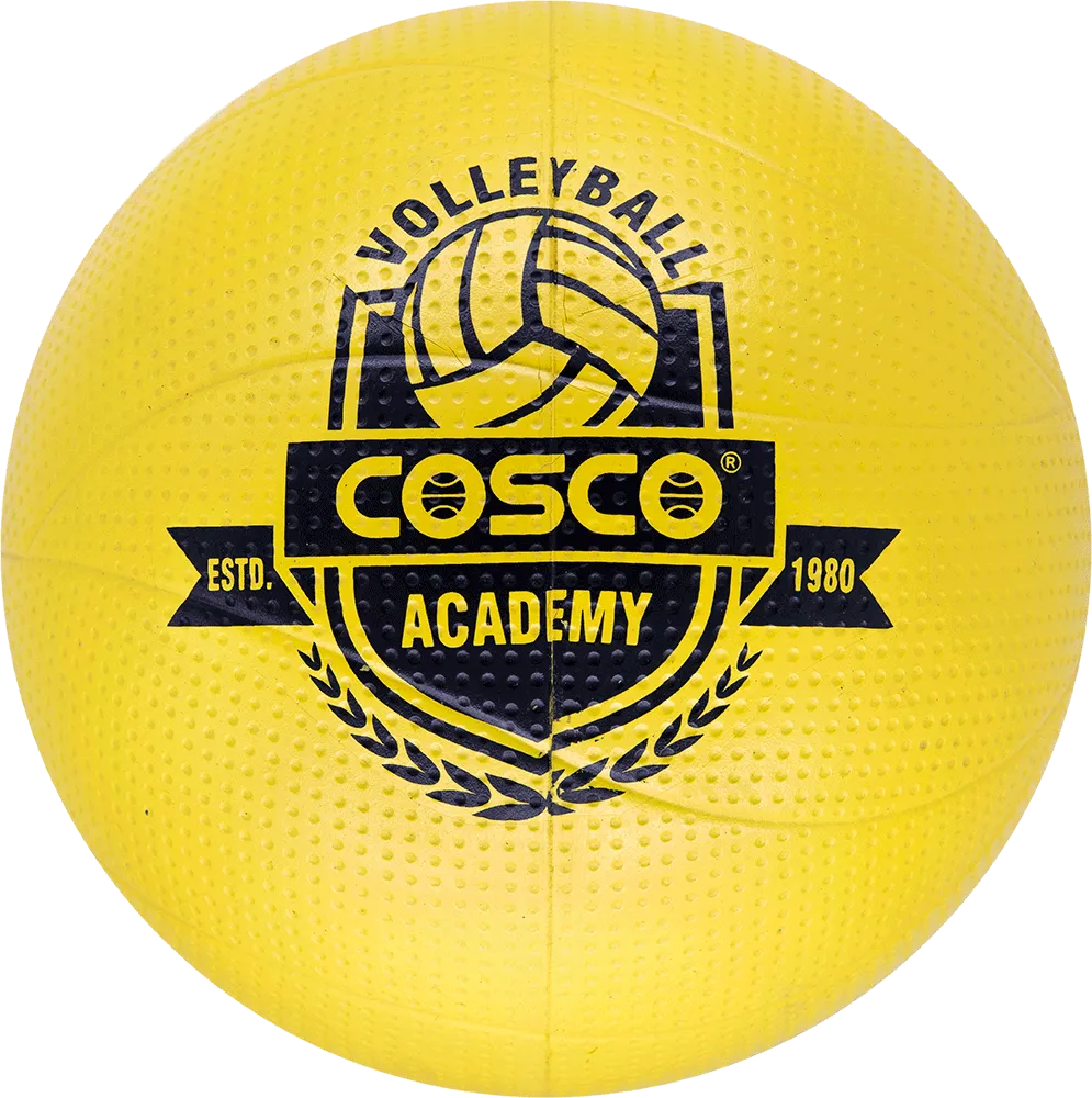 Academy VolleyBall
