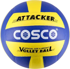 Attacker VolleyBall