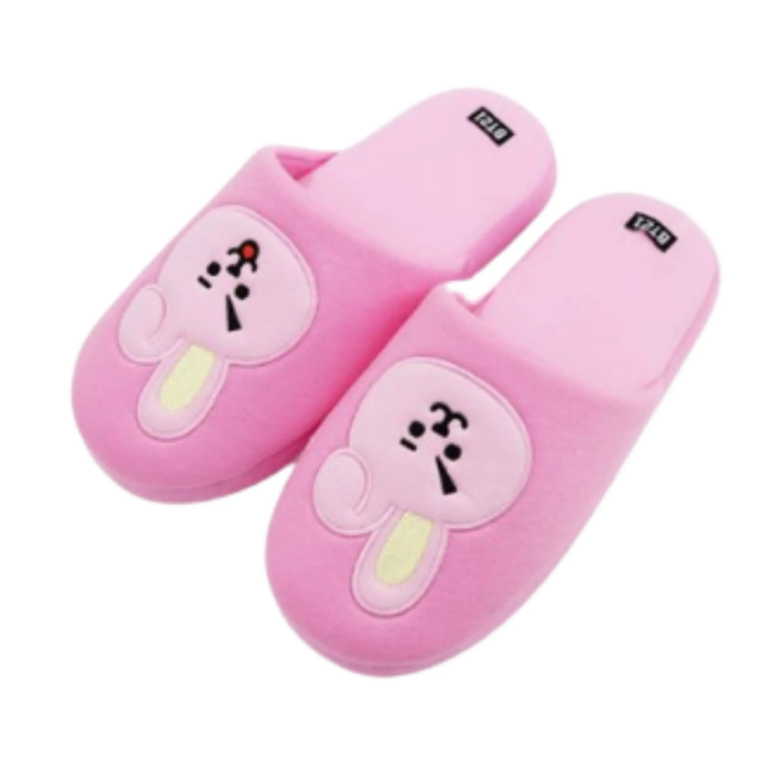 BT21 Bedroom Slippers