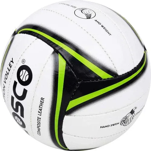 Champion VolleyBall