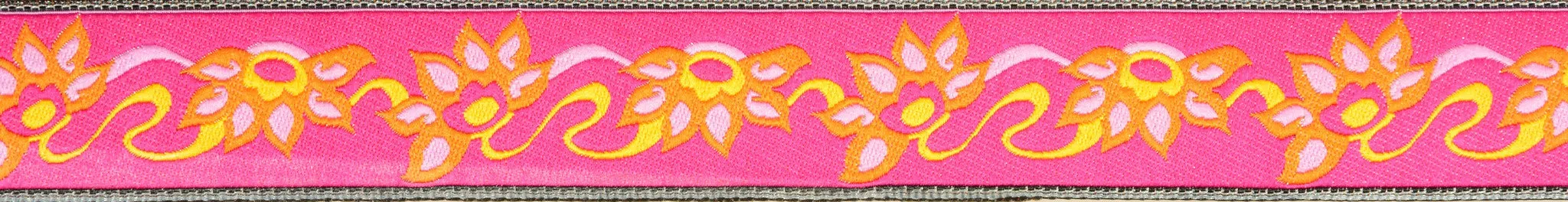 Martingale Training Collar Medium 1" Width