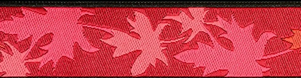 Martingale Training Collar Medium 1" Width