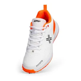 Payntr XPF-AR  (All Rounder) Spike Cricket Shoes