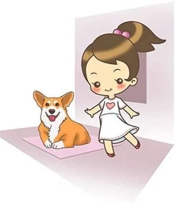 Training Pee and Potty Pads (Pack of 6)